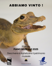 copertina bando 2025